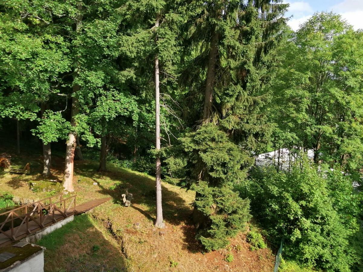 Parkhotel Forest Марианске-Лазне Экстерьер фото